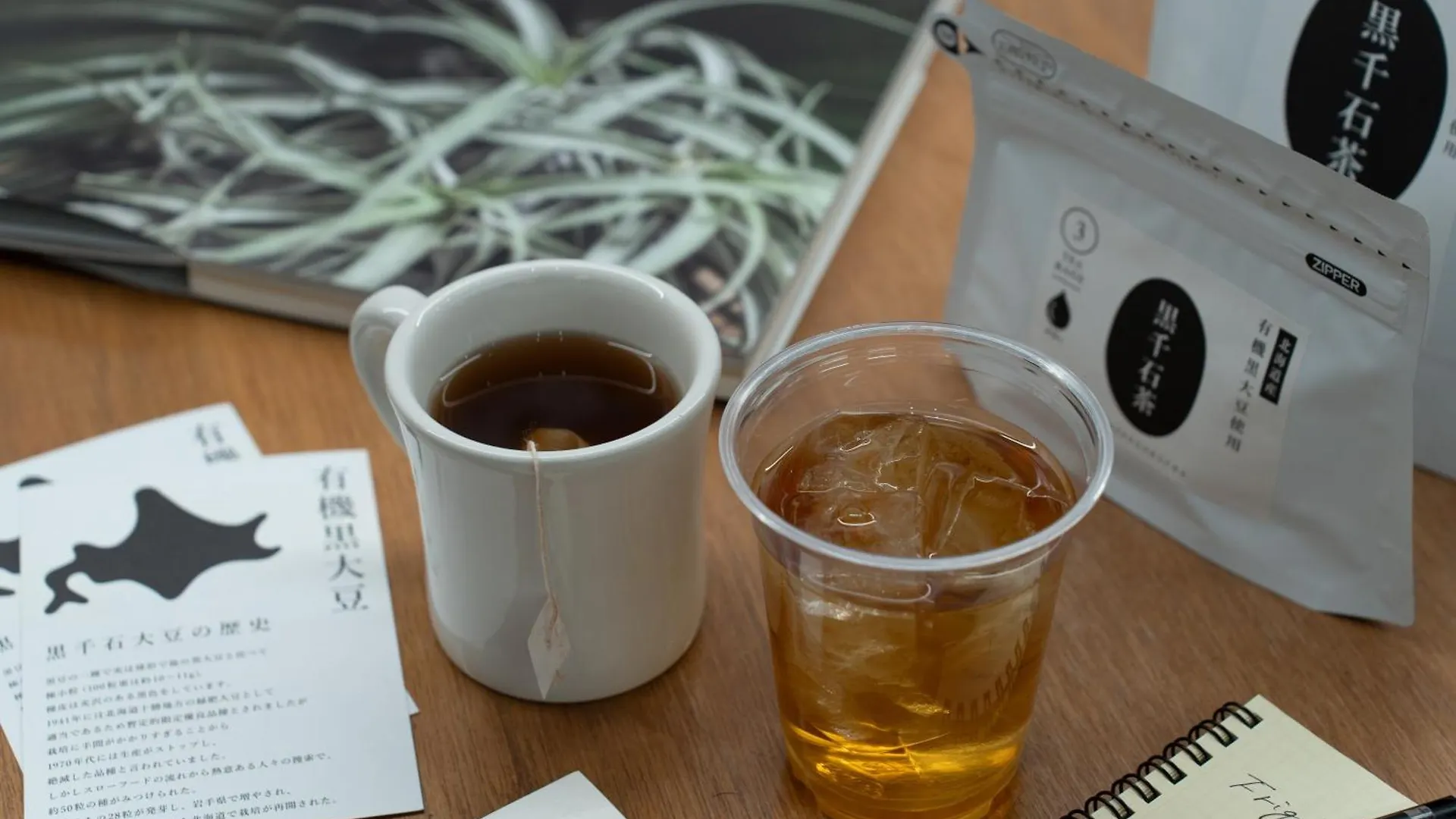 Helio Hostel Sapporo Japon